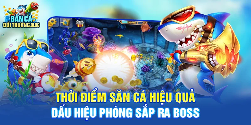 Thời Điểm Săn Cá Nào Là Lý Tưởng Nhất? 8 Thời điểm săn cá hiệu quả - dấu hiệu phòng sắp ra boss