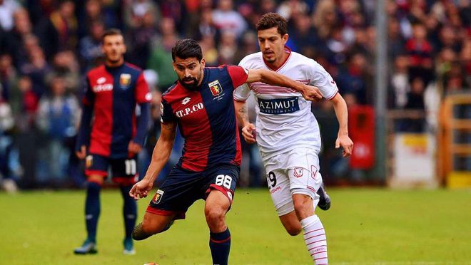 这不仅是因 这不仅是因