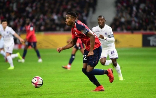 冠军背后的 冠军背后的