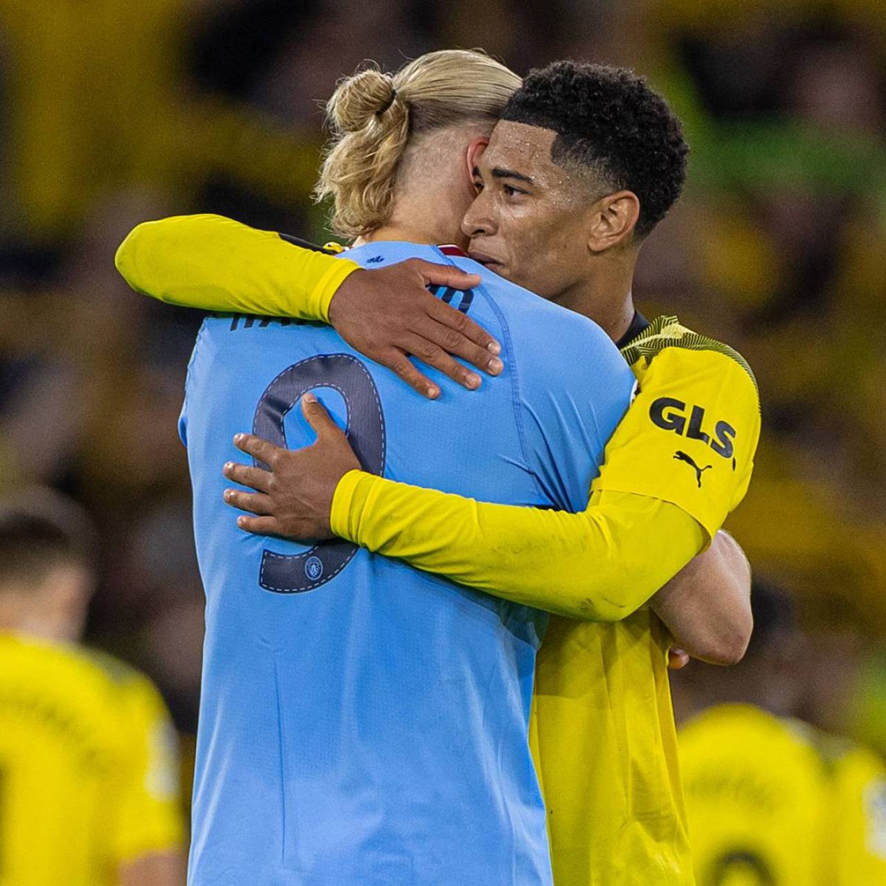 述内低干扰 述内低干扰